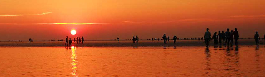 Diamond Triangle of Odisha With Chilika - Patra Tours And Travels