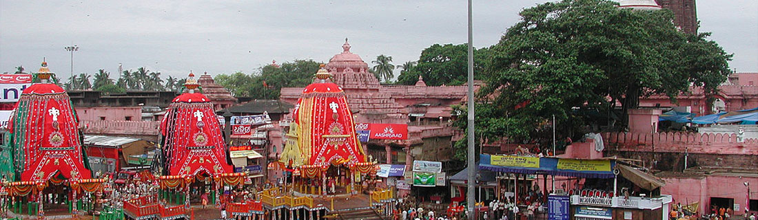 puri-rath-yatra-tours