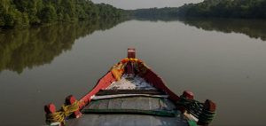 bhitarkanika tour packages