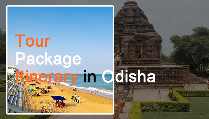 odisha tourism one day package