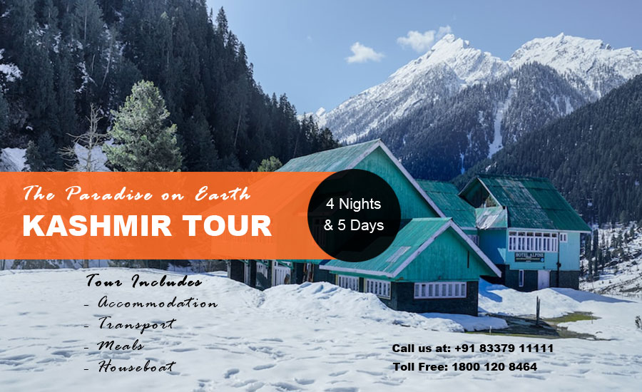 kashmir tour package cost