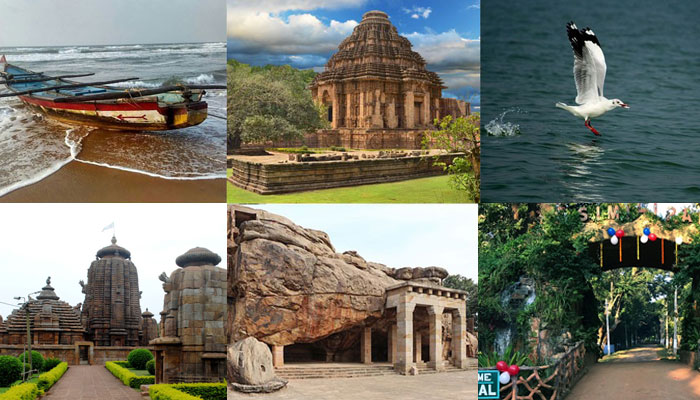 Explore Odisha with our detailed 7-day travel itinerary